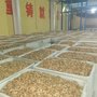 白三路白四路核桃仁生产厂家 寻求食品厂面包房糕点铺合作