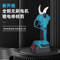 羳@ֹߴ֦