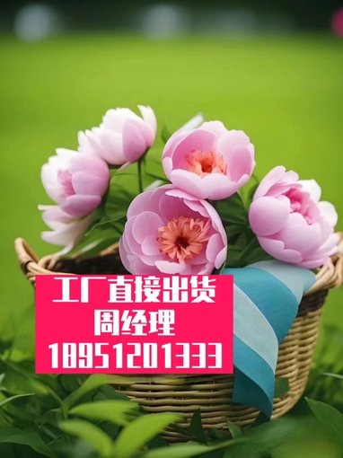 三維打印用增材成型材-料刨花板耐水粗刨花預(yù)-刨花混圖片