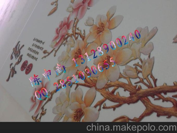 海捷魔彩復(fù)制機(jī),4D寫真玻璃變財富,20倍尖叫利潤!圖片