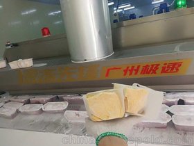 广州、深圳、江苏、上海液氮速冻机速冻果泥、果酱