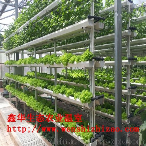 草莓立體種植架 蔬菜水培管道 陽(yáng)臺水培無(wú)土栽培設備定做圖片