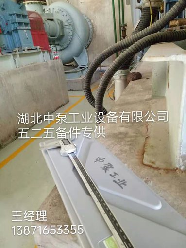LC1000/1300II軸承箱端蓋泵軸電側(cè)聯(lián)軸器膜片螺栓聯(lián)軸器圖片