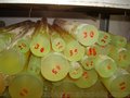 广东PU棒