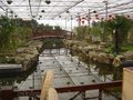出售智能温室大棚 人工气候室