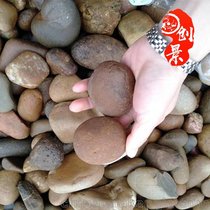 珠海鹅卵石有厂家吗 鹅卵石批发基地 天然鹅卵石图片