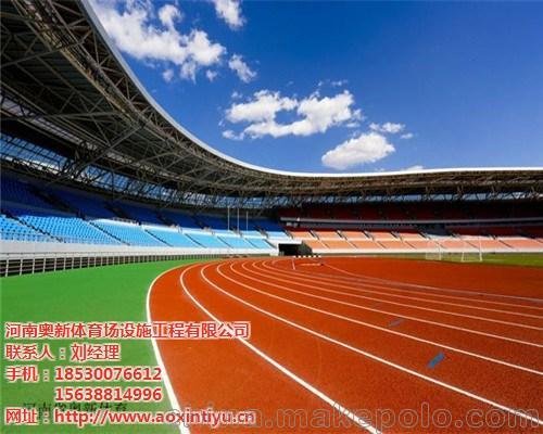 衛(wèi)生間專用塑膠地板_奧新體育場(chǎng)設(shè)施工程圖片