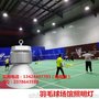 室内羽毛球馆LED照明灯光布置平面图