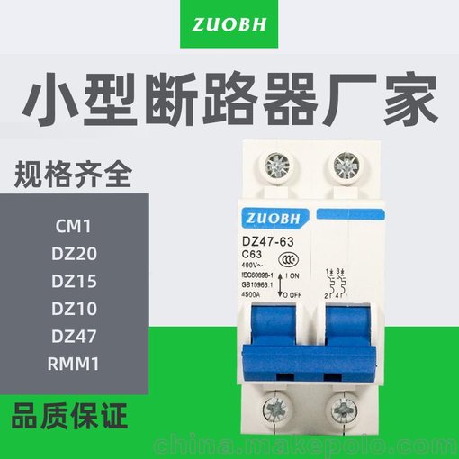 DZ47-63/ 2P小型斷路器1-63A批發(fā)銷(xiāo)售圖片