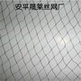 厂家直销各种植物防鸟网 防虫网 爬藤网 养殖防鸟网