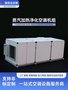 ZKA10-6RC蒸汽加热加湿净化空调机组带25P双系统外机 骏安达