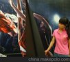 北京批发磁吸式写真画面磁性写真广告耗材安装拆卸快速磁铁换得易