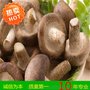 诸城明超机械  香菇/木耳带式烘干机 多层隧道式烘干箱  直销