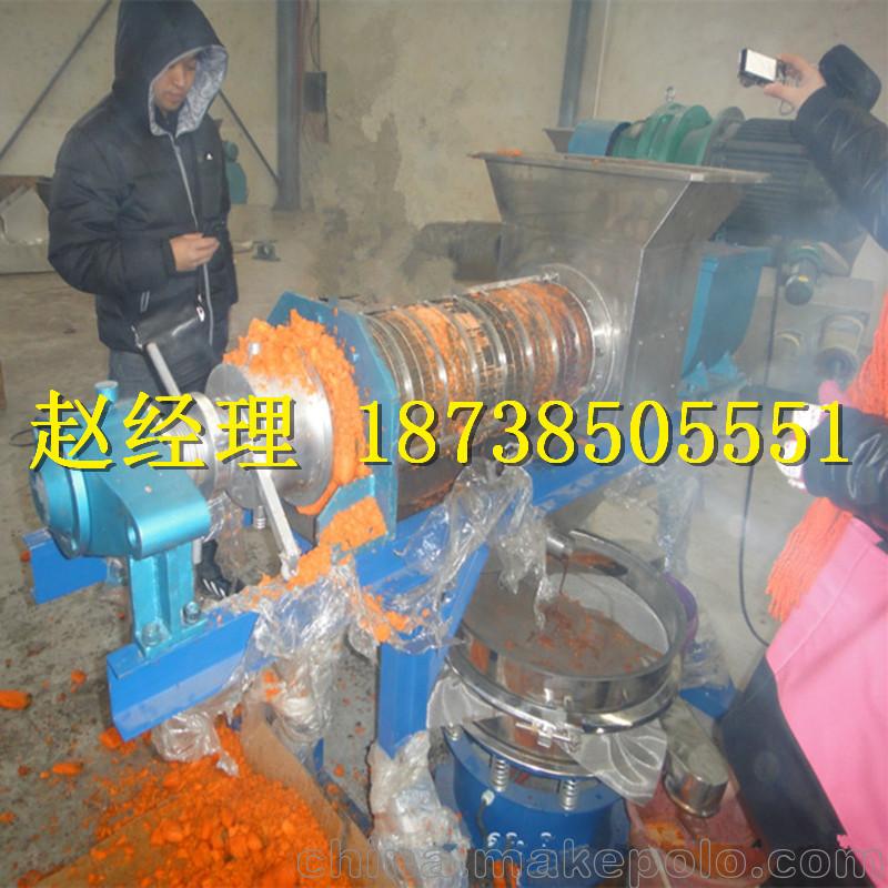 生姜壓榨榨汁機雙螺旋榨汁壓榨機