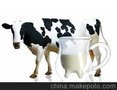 Diman050纯牛奶香精