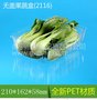 2116果蔬盒 透明包装盒 水果盒 无盖蔬菜盒 卤菜盒 扣肉盒