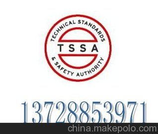 Ո(qng)TSSA(li)ֺֿؐ