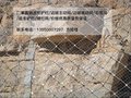 SNS主动防护网厂家 清镇市 柔性防护网现货