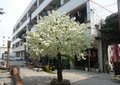 仿真樱花树仿真桃花树婚庆装饰树