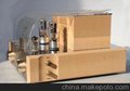 冠标2.4g 无线胆机功放 无线环绕扩大器