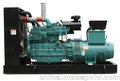 笋岗出售重庆康明斯发电机组200KW 型号NT855-GA