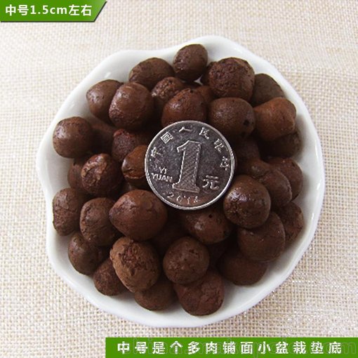 山東地區(qū)陶碳球 無(wú)土多肉陶粒球 盆栽盆景水培陶粒  裝飾覆蓋陶粒圖片