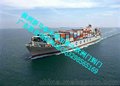 广东专业危险品敏感货出口海运 国际空运的货代公司