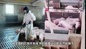 養(yǎng)殖-凈化水處理過濾設(shè)備 超濾純水反滲透設(shè)備案例