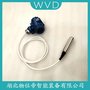 PM262投入式液位計 WVD