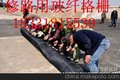  厂家直销 80KN双向精编玻璃纤维土工格栅