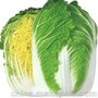 金脉种苗韩国进口白菜种子--CR春黄