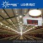 菲而森LED养鸡灯