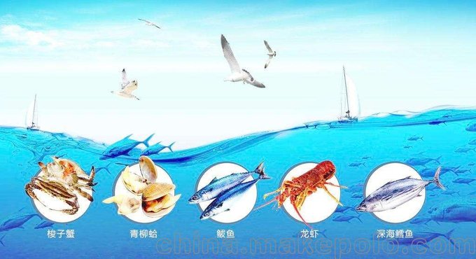 天津澳洲龍蝦進(jìn)口技術(shù)支持圖片