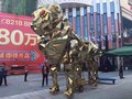 金毛狮王怒吼之巡游金狮出租租赁