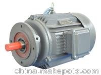 G系列_硬齒面減速機專(zhuān)用三相異步電動(dòng)機