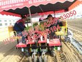 移栽机 甜叶菊栽苗机 密植栽植机行业水平 山东田耐尔
