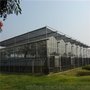 公司主营：玻璃温室工程，薄膜连栋温室工程