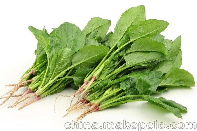 供應東莞長安工廠糧油蔬菜批發(fā) 新鮮 健康圖片