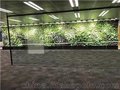 杭州植物绿墙养护