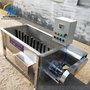 智能家禽浸烫池 麻鸡烫毛机