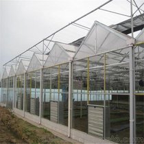 阳光智能自动玻璃温室骨架 草莓种植 阳光温室大棚 阳光板温室