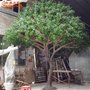 定制橄榄树价格  仿真橄榄树生产厂家 室内橄榄盆栽北欧ins风摆件