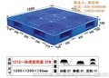 泰峰塑胶(在线咨询)、高要塑料卡板