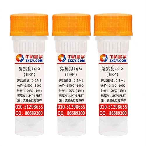 供應(yīng)廠家直銷(xiāo)兔抗狗IgG-HRP，辣根過(guò)氧化物酶HRP標(biāo)記兔抗狗IgG圖片