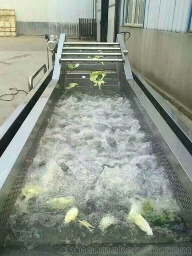 小白菜清洗機(jī),臭氧消毒清洗機(jī),洗菜機(jī)圖片