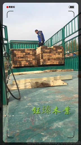 錦州落葉松木方錦州建筑木方圖片
