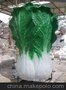 玻璃钢蔬菜水果模型制作出租定制商场楼盘玻璃钢美陈制作出售