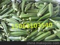 上海绿色蔬菜黄秋葵寻经销商/黄秋葵直销