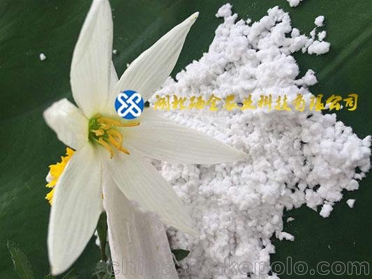 湖北硒金供應(yīng)硅酸鈣肥Sio>21.6% 硅鈣礦物肥Sio  49.1%圖片