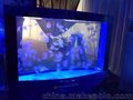 海洋展海洋生物展海狮表演出租价格海豹出租